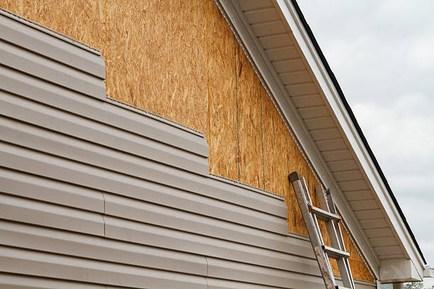 Professional Storm Damage Siding Repair technician working in Arlington, VA